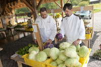 Cabbage_selection